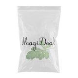 Maxbell Green Plant Canvas Oil Painting Picture Unframed Wall Art  fig leaves M
