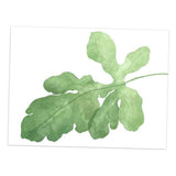 Maxbell Green Plant Canvas Oil Painting Picture Unframed Wall Art  fig leaves M