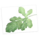 Maxbell Green Plant Canvas Oil Painting Picture Unframed Wall Art  fig leaves M