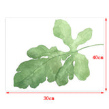Maxbell Green Plant Canvas Oil Painting Picture Unframed Wall Art  fig leaves M