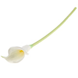 Maxbell Artificial Plastic Calla Lily Flowers for Home Garden Wedding Decor White