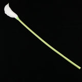 Maxbell Artificial Plastic Calla Lily Flowers for Home Garden Wedding Decor White