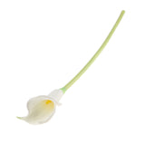 Maxbell Artificial Plastic Calla Lily Flowers for Home Garden Wedding Decor White