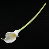 Maxbell Artificial Plastic Calla Lily Flowers for Home Garden Wedding Decor White