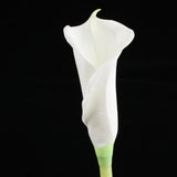 Maxbell Artificial Plastic Calla Lily Flowers for Home Garden Wedding Decor White