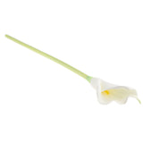Maxbell Artificial Plastic Calla Lily Flowers for Home Garden Wedding Decor White