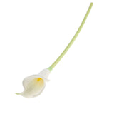 Maxbell Artificial Plastic Calla Lily Flowers for Home Garden Wedding Decor White