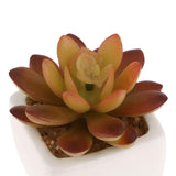 Max Artificial Succulent Plant Potted Cactus Lotus Aloe Miniature Plant 4Pcs #3