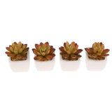 Max Artificial Succulent Plant Potted Cactus Lotus Aloe Miniature Plant 4Pcs #3