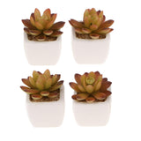 Max Artificial Succulent Plant Potted Cactus Lotus Aloe Miniature Plant 4Pcs #3