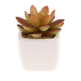 Max Artificial Succulent Plant Potted Cactus Lotus Aloe Miniature Plant 4Pcs #3