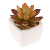Max Artificial Succulent Plant Potted Cactus Lotus Aloe Miniature Plant 4Pcs #3