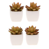 Max Artificial Succulent Plant Potted Cactus Lotus Aloe Miniature Plant 4Pcs #3