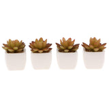 Max Artificial Succulent Plant Potted Cactus Lotus Aloe Miniature Plant 4Pcs #3
