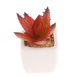 Max Artificial Succulent Plant Potted Cactus Lotus Aloe Miniature Plant 4Pcs #5