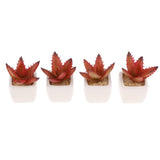 Max Artificial Succulent Plant Potted Cactus Lotus Aloe Miniature Plant 4Pcs #5