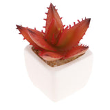 Max Artificial Succulent Plant Potted Cactus Lotus Aloe Miniature Plant 4Pcs #5