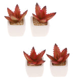 Max Artificial Succulent Plant Potted Cactus Lotus Aloe Miniature Plant 4Pcs #5