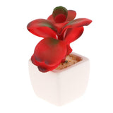Max Artificial Succulent Plant Potted Cactus Lotus Aloe Miniature Plant 4Pcs #6