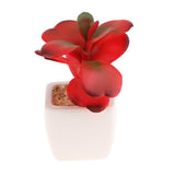 Max Artificial Succulent Plant Potted Cactus Lotus Aloe Miniature Plant 4Pcs #6