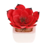 Max Artificial Succulent Plant Potted Cactus Lotus Aloe Miniature Plant 4Pcs #9