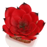 Max Artificial Succulent Plant Potted Cactus Lotus Aloe Miniature Plant 4Pcs #9