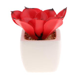 Max Artificial Succulent Plant Potted Cactus Lotus Aloe Miniature Plant 4Pcs #9