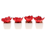 Max Artificial Succulent Plant Potted Cactus Lotus Aloe Miniature Plant 4Pcs #9