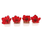 Max Artificial Succulent Plant Potted Cactus Lotus Aloe Miniature Plant 4Pcs #9