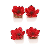 Max Artificial Succulent Plant Potted Cactus Lotus Aloe Miniature Plant 4Pcs #9