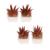 Max Artificial Succulent Plant Potted Cactus Lotus Aloe Miniature Plant 4Pcs #11