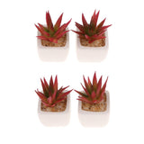 Max Artificial Succulent Plant Potted Cactus Lotus Aloe Miniature Plant 4Pcs #11
