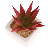 Max Artificial Succulent Plant Potted Cactus Lotus Aloe Miniature Plant 4Pcs #11