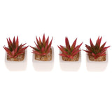 Max Artificial Succulent Plant Potted Cactus Lotus Aloe Miniature Plant 4Pcs #11