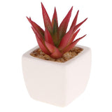 Max Artificial Succulent Plant Potted Cactus Lotus Aloe Miniature Plant 4Pcs #11