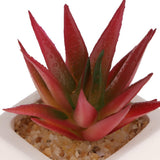Max Artificial Succulent Plant Potted Cactus Lotus Aloe Miniature Plant 4Pcs #11