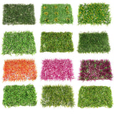 Maxbell Artificial Flower Wall Plants Turf Lawn Panel Wedding Venue Floral Decor #1