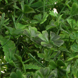 Maxbell Artificial Flower Wall Plants Turf Lawn Panel Wedding Venue Floral Decor #6