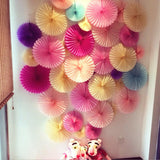 Max Tissue Paper Fans Pom Poms Wedding Party Baby Lantern Home Room Decor #13