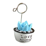 Max Maxb Photo Notes Message Card Clip Holder Artificial Cactus Bonsai Table Decor #3
