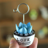 Max Maxb Photo Notes Message Card Clip Holder Artificial Cactus Bonsai Table Decor #3