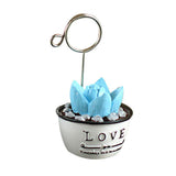 Max Maxb Photo Notes Message Card Clip Holder Artificial Cactus Bonsai Table Decor #3