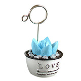 Max Maxb Photo Notes Message Card Clip Holder Artificial Cactus Bonsai Table Decor #3