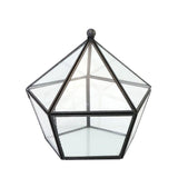 Maxbell  Glass Terrarium Container Geometric Succulent Planter Black Pentagon S