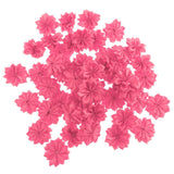 50pcs DIY Wedding Rose Flower for Birthday Home Decor Garment Accessories Rose Red