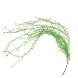 Max Artificial Flower String of Pearls Wicker Wall Hanging Succulents Plants C