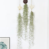 Max Artificial Flower String of Pearls Wicker Wall Hanging Succulents Plants C