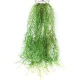 Max Artificial Flower String of Pearls Wicker Wall Hanging Succulents Plants C