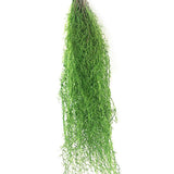 Max Artificial Flower String of Pearls Wicker Wall Hanging Succulents Plants C