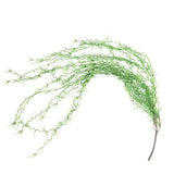 Max Artificial Flower String of Pearls Wicker Wall Hanging Succulents Plants C